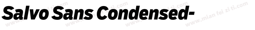 Salvo Sans Condensed字体转换